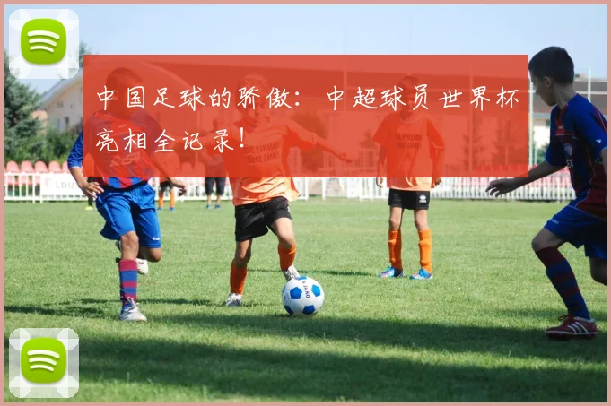 中国足球的骄傲：中超球员世界杯亮相全记录！