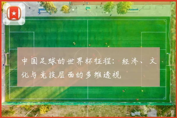 中国足球的世界杯征程：经济、文化与竞技层面的多维透视