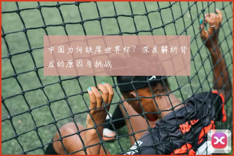 中国为何缺席世界杯？深度解析背后的原因与挑战
