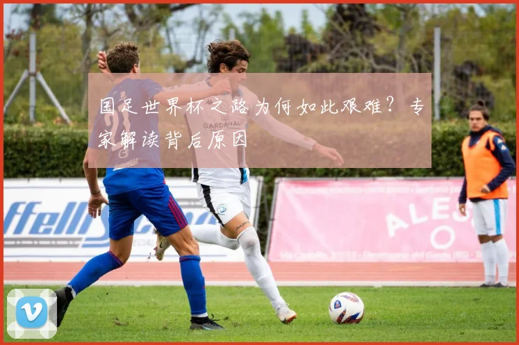 国足世界杯之路为何如此艰难?专家解读背后原因