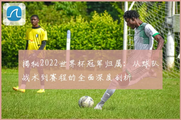 揭秘2022世界杯冠军归属:从球队战术到赛程的全面深度剖析