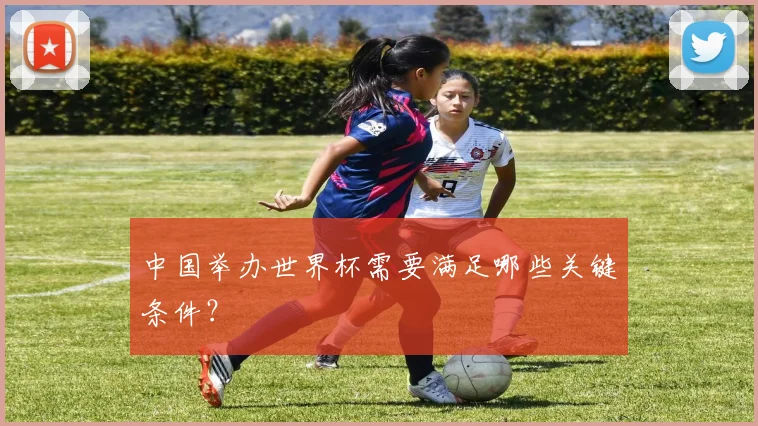 中国举办世界杯需要满足哪些关键条件？